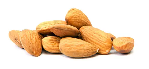 Sweet Almond Oil