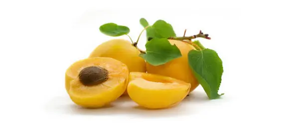 Apricot Kernel