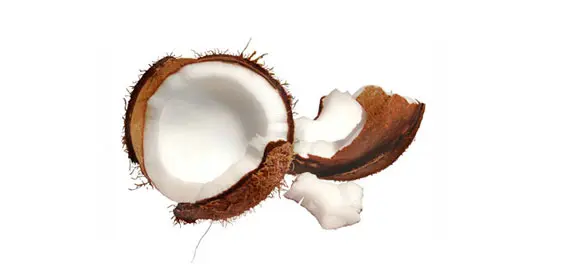 Coconut