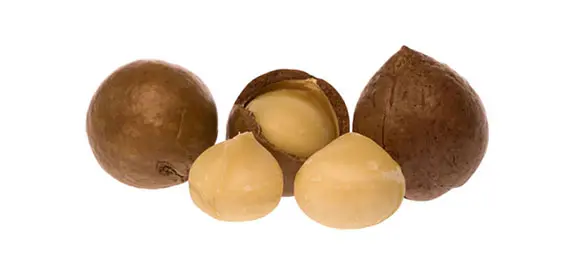 Macadamia Oil