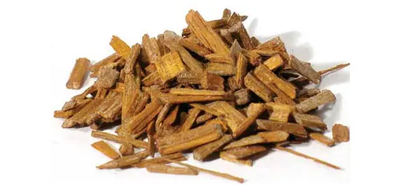 Sandalwood Oil